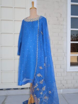 Pure Organza Stitched Outfit